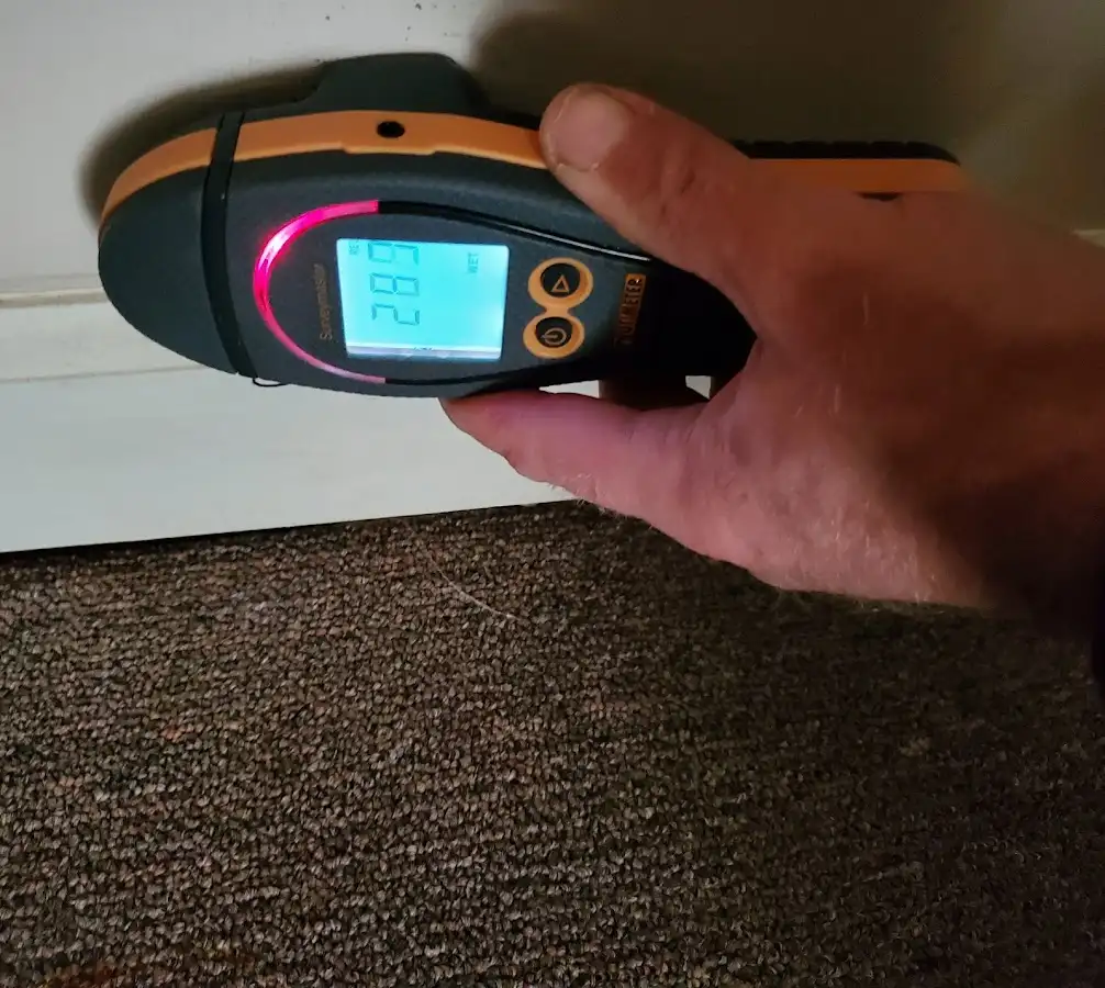 Moisture detection at baseboard during Mold Inspection & Testing in Opp